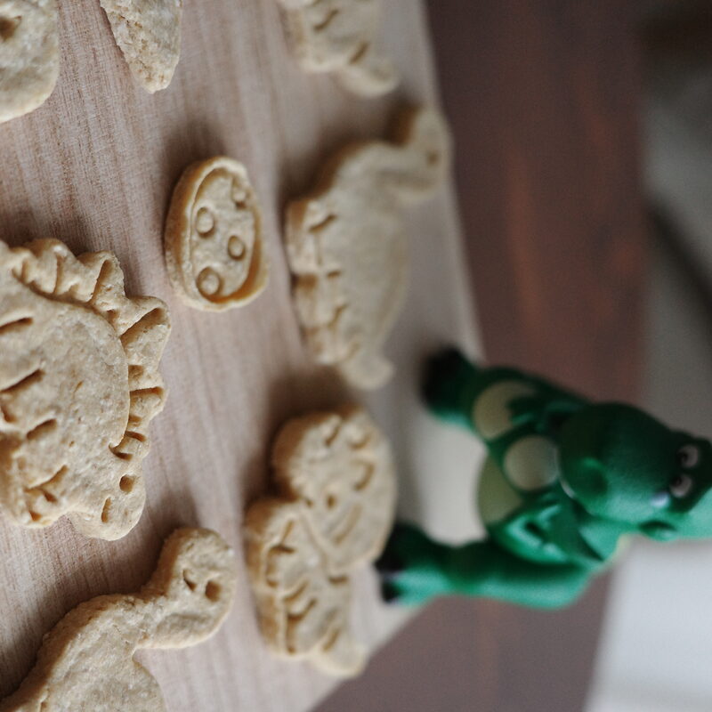 Chicken Cookies Dinosaur