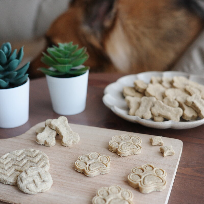 Paws & Boons 4