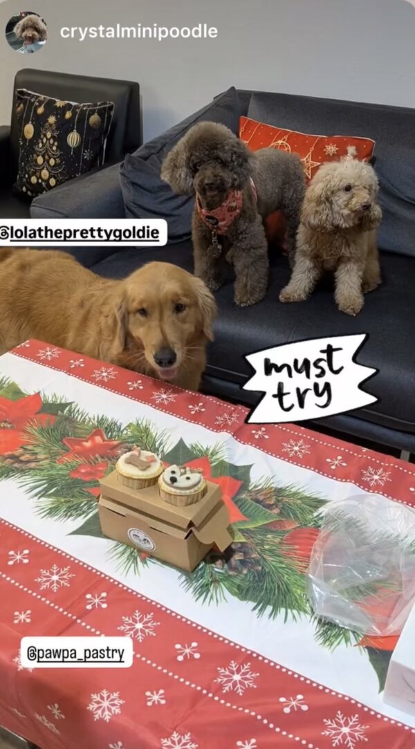 @crystalminipoodle — must try